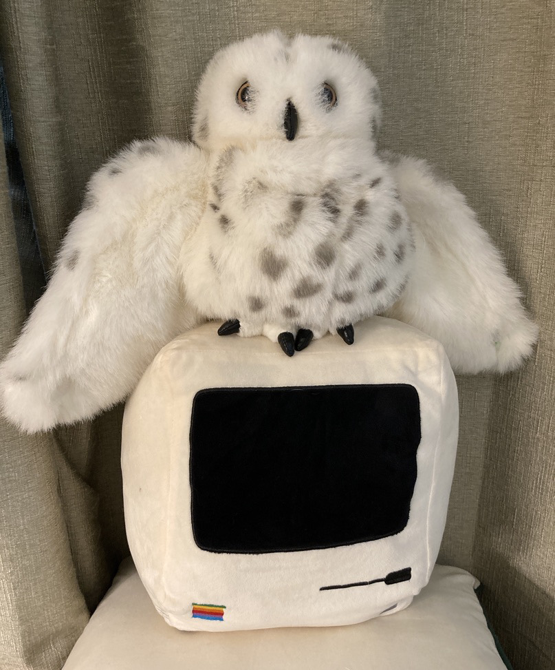 dusty sitting on a 1984 macintosh named max