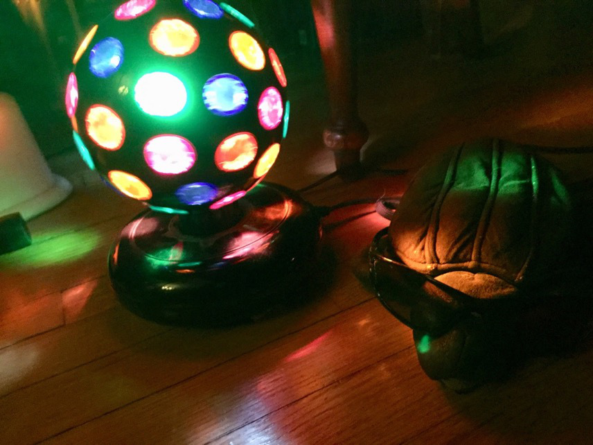 jellyman sitting in front of disco ball wearing sunglasses