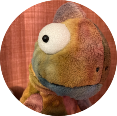 Paco Grūvī paco grūvū